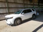 HONDA PILOT 2025