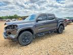 TOYOTA TACOMA 2022