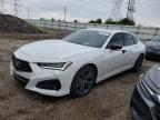 ACURA TLX 2023