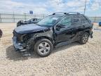 TOYOTA RAV4 2024