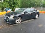 NISSAN MAXIMA 2013