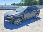 TOYOTA RAV4 2023