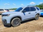 HONDA PILOT 2026