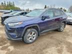 TOYOTA RAV4 HYBRID 2024