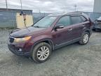 KIA SORENTO 2011