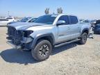 TOYOTA TACOMA 2022