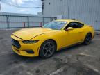 FORD MUSTANG 2024