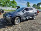 LEXUS NX 2025