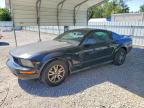 FORD MUSTANG 2005