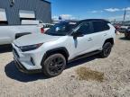 TOYOTA RAV4 2023