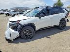 TOYOTA RAV4 2024