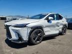 LEXUS NX 450H+ 2024