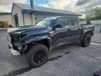 TOYOTA TACOMA 2024