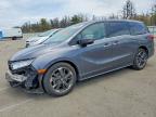 HONDA ODYSSEY 2024