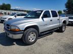 DODGE DAKOTA 2001