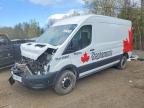 FORD TRANSIT 2022