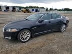 JAGUAR XF 2013