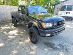 TOYOTA TACOMA 2004