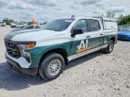 CHEVROLET SILVERADO 2024