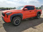 TOYOTA TACOMA 2024