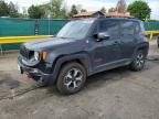 JEEP RENEGADE 2019