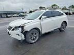 LEXUS RX 2013