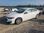 CHEVROLET MALIBU 2023