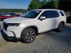 HONDA PILOT 2025