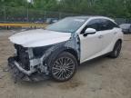 LEXUS RX 2024