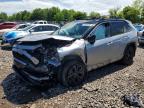 TOYOTA RAV4 2024