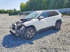 TOYOTA RAV4 2024
