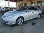 LEXUS ES 2010