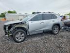 TOYOTA RAV4 2024
