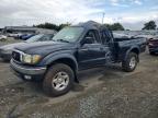 TOYOTA TACOMA 2004