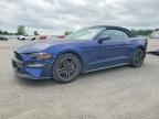 FORD MUSTANG 2019