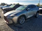 LEXUS NX 2025