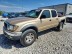 TOYOTA TACOMA 2001