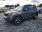 JEEP RENEGADE 2019
