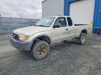TOYOTA TACOMA 2000