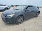 SCION TC 2013