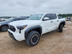 TOYOTA TACOMA 2024