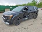 KIA CARNIVAL 2025