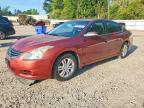 NISSAN ALTIMA 2010