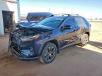 TOYOTA RAV4 2023