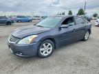 NISSAN ALTIMA 2007