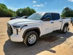 TOYOTA TUNDRA 2024