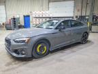 AUDI S5 2024