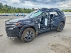 TOYOTA RAV4 2026