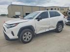 TOYOTA RAV4 2024