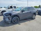TOYOTA RAV4 2024